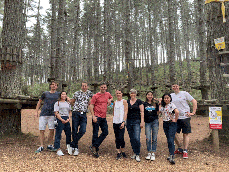 The team as ropes course in New Zealand